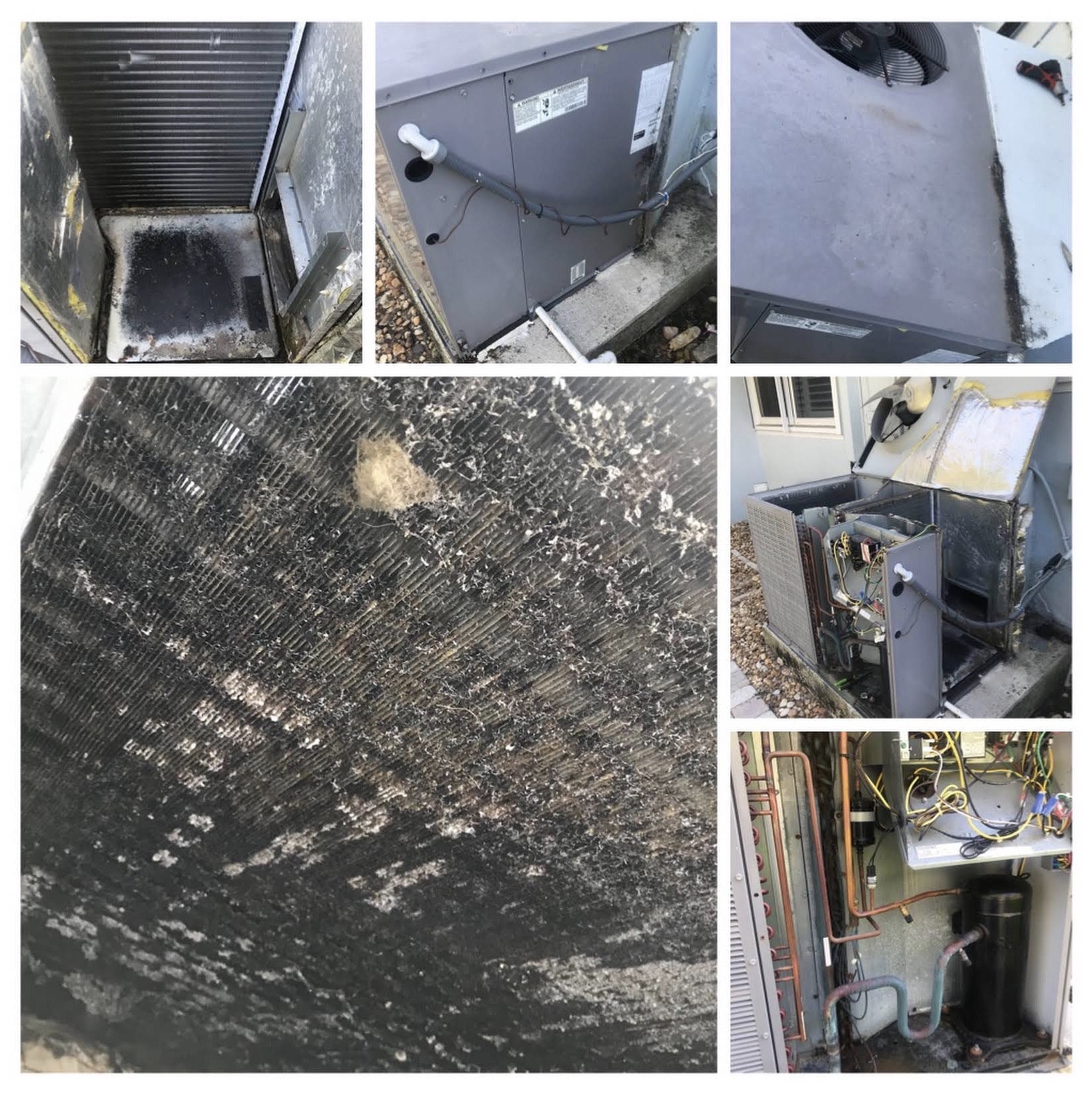 Dirty coils and drain pan before cleaning on a package unit