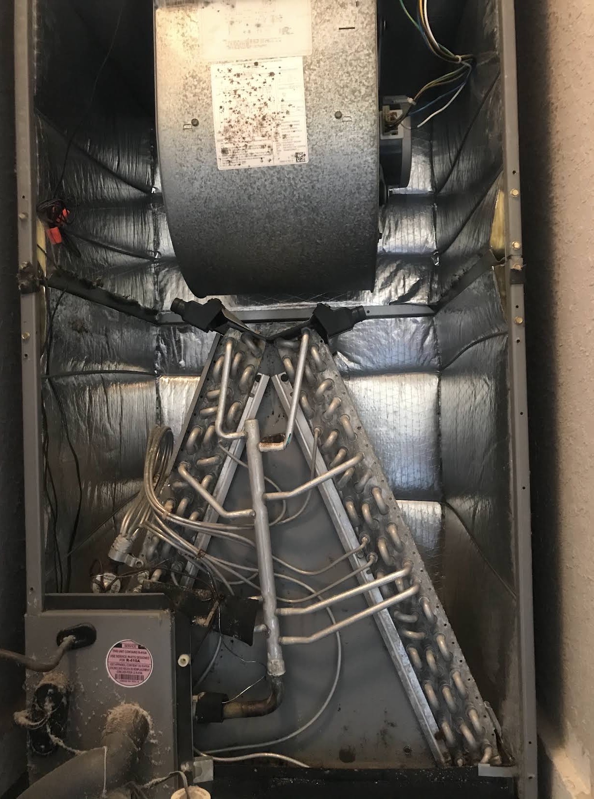 Inside an air handler showing blower and evaporator coil